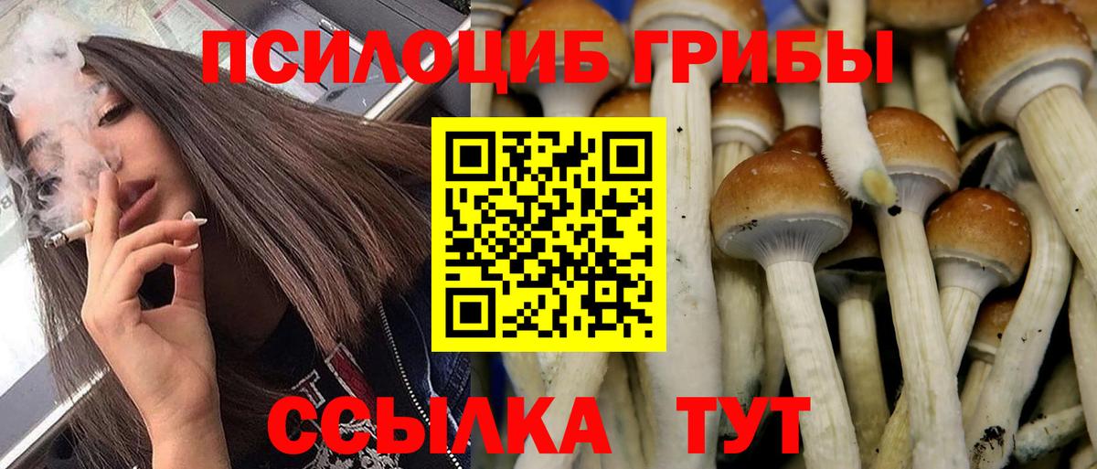 Псилоцибиновые грибы прущие грибы Щёлково