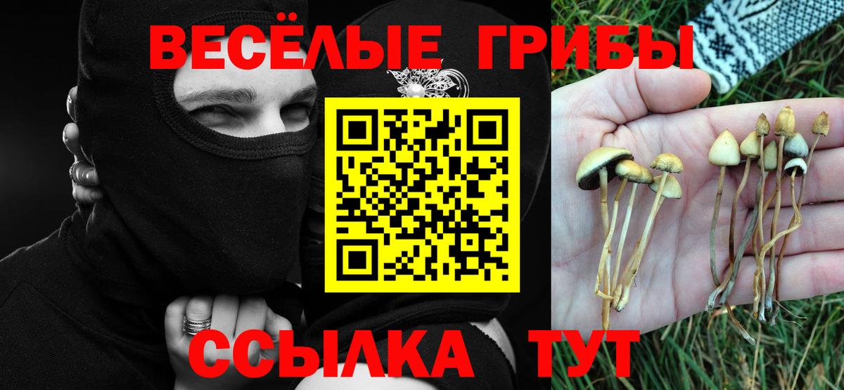 Галлюциногенные грибы Cubensis  Вход с VPN  Щёлково 